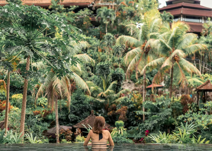 Infinity pool overlooking the jungle canopy of Ubud