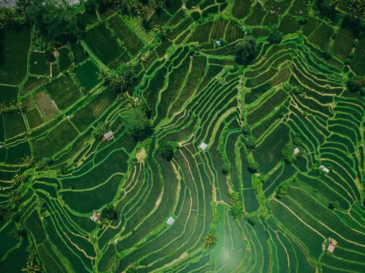 Aerial view of terraced rice fields in Sidemen, East Bali