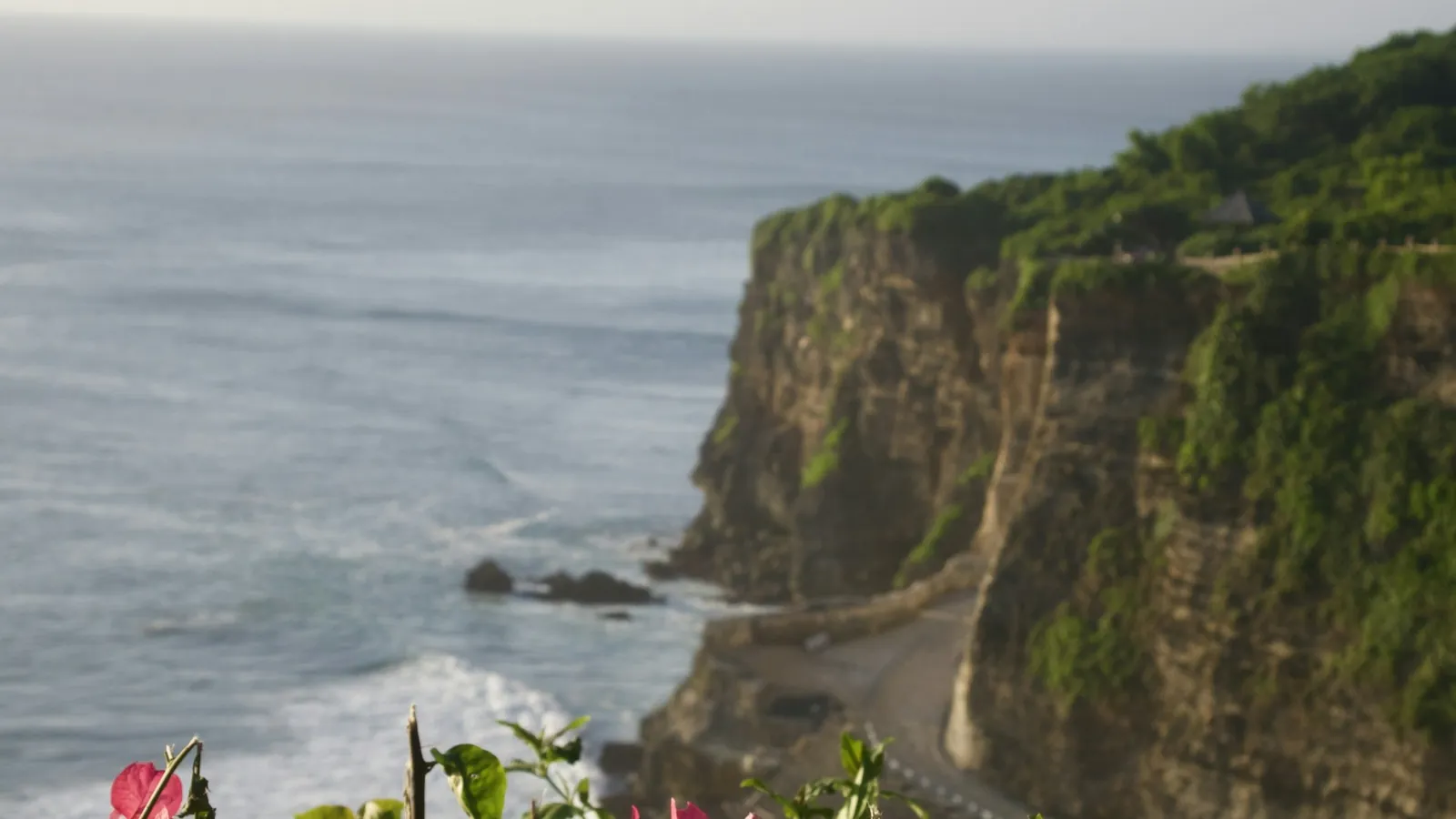 Sea cliffs at Uluwatu above the Indian Ocean, pink bougainvillea in the foreground